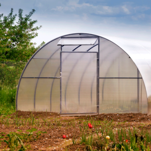Plástico Invernadero